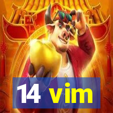 14 vim