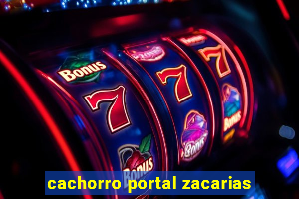 cachorro portal zacarias